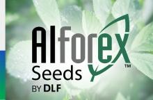 DLF Acquires Corteva Agriscience Alfalfa Breeding Program